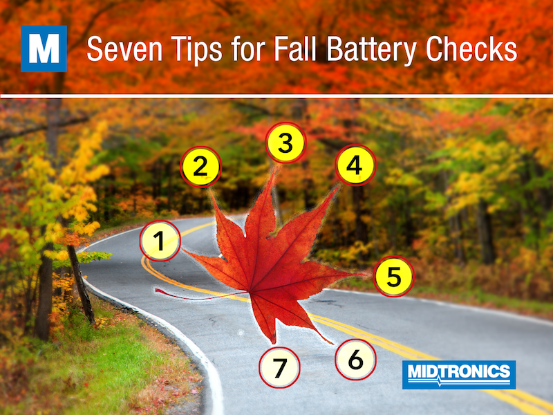 Seven Tips for Fall Battery Checks